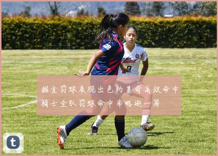 掘金罚球表现出色约基奇高效命中骑士全队罚球命中率略逊一筹