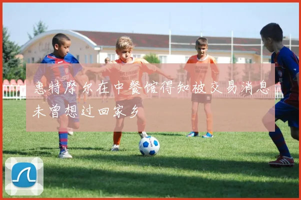 惠特摩尔在中餐馆得知被交易消息未曾想过回家乡
