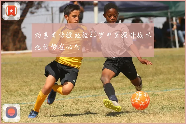 约基奇传授经验23岁申京提升战术地位势在必行